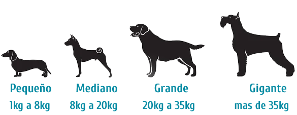 Tamaño de los distintos precios